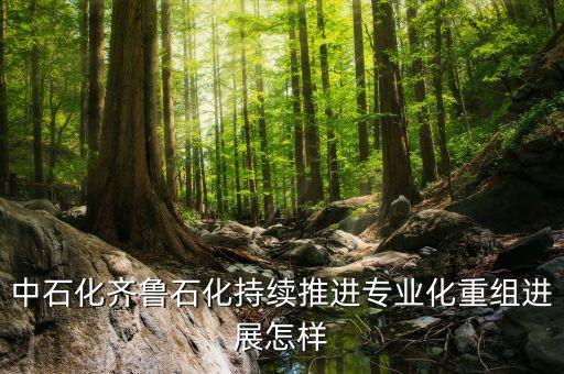 專業(yè)化重組是什么，股票中的重組是什么意思意味者什么對(duì)于持股人來說是好是壞