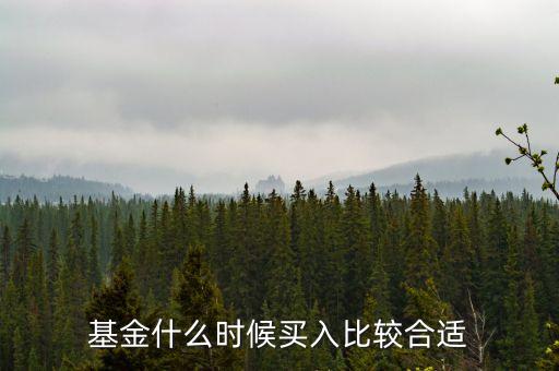 基金在什么時候買入，買入基金的最佳時機