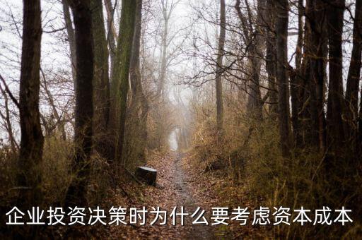 企業(yè)籌資為什么要考慮資金成本，企業(yè)籌資決策為什么要考慮資金成本
