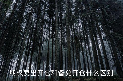 個股期權(quán)賣出開倉什么意思，賣出開倉是咋意思