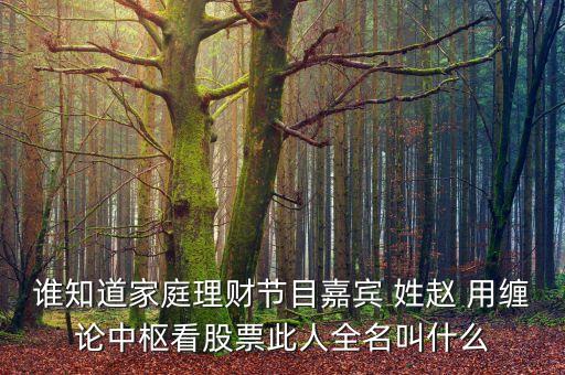 誰(shuí)知道家庭理財(cái)節(jié)目嘉賓 姓趙 用纏論中樞看股票此人全名叫什么