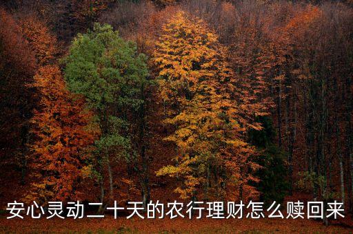 安心靈動(dòng)20天什么時(shí)候可以贖回，安心靈動(dòng)二十天的農(nóng)行理財(cái)怎么贖回來(lái)