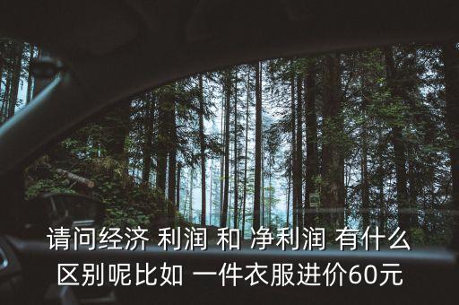 請問經(jīng)濟 利潤 和 凈利潤 有什么區(qū)別呢比如 一件衣服進價60元