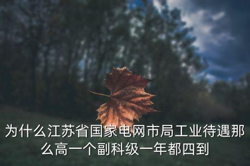 電力住房公積金為什么高，國(guó)家電網(wǎng)正式工公積金800元高嗎