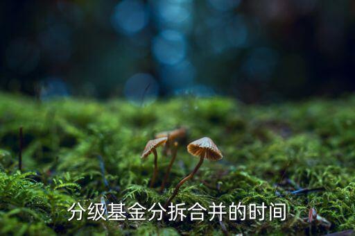 基金什么時(shí)候拆分，基金一般在什么時(shí)候拆分或分紅