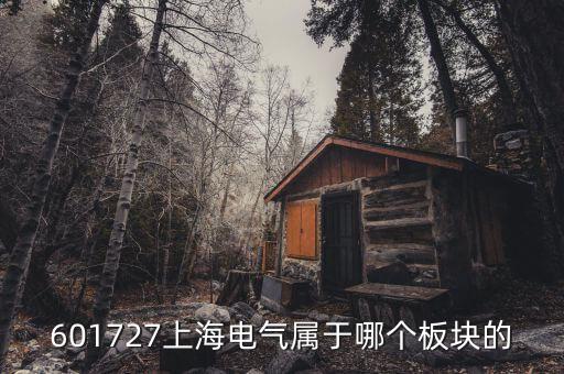 上海電氣什么行業(yè)，上海置信電氣股份有限公司是屬于什么行業(yè)