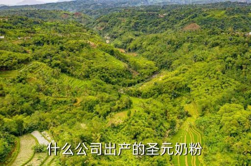圣元是什么公司，什么公司出產(chǎn)的圣元奶粉