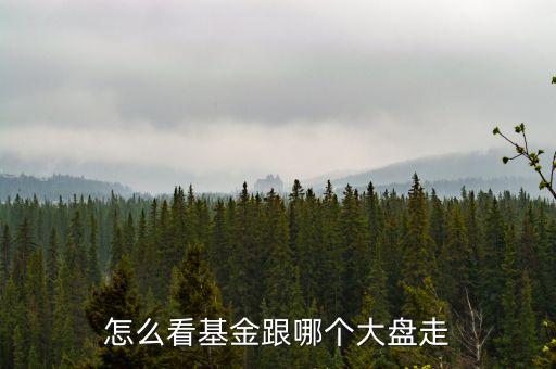 怎么看基金跟哪個(gè)大盤走