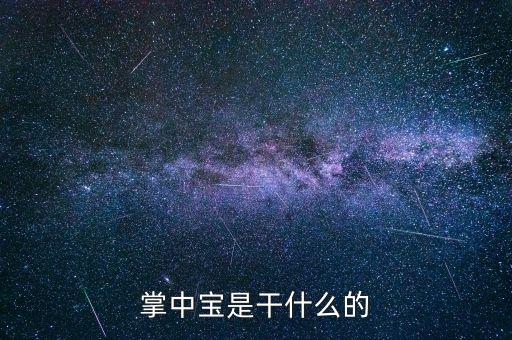 保險(xiǎn)掌中寶是什么，掌中寶是干什么的