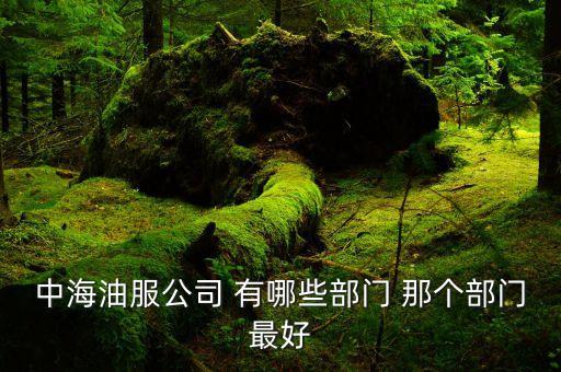 中海油什么部門好，中海油服公司 有哪些部門 那個部門最好