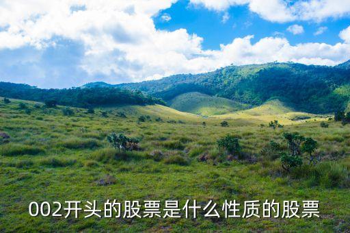 002打頭的股票代表什么，股票002開頭的是什么意思