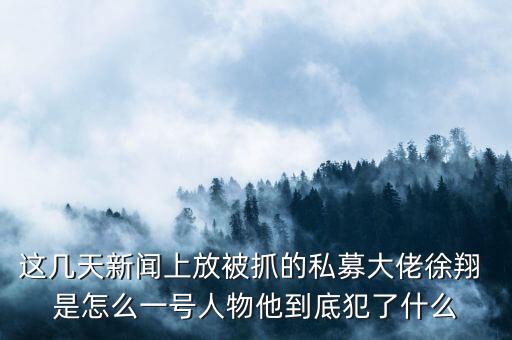 徐翔為什么會(huì)抓，澤熙投資徐翔為什么被抓徐翔被抓后私募怎么辦
