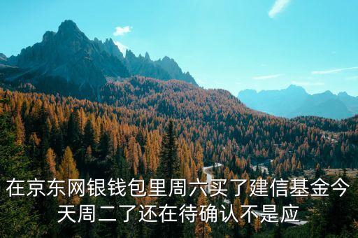 002378建信什么時候確認份額，在京東網(wǎng)銀錢包里周六買了建信基金今天周二了還在待確認不是應