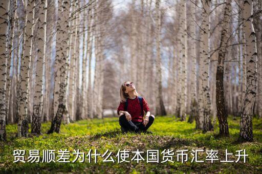 為什么貿(mào)易順差會導(dǎo)致匯率上漲，貿(mào)易順差為什么使本國貨幣匯率上升