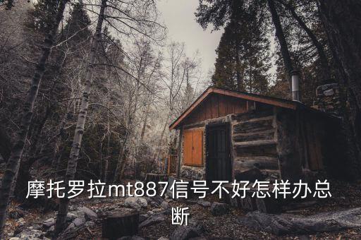 香港為什么要直選，iPhone4 真的會(huì)被三星Galaxy S2i9100秒殺嗎如果給你選你會(huì)選