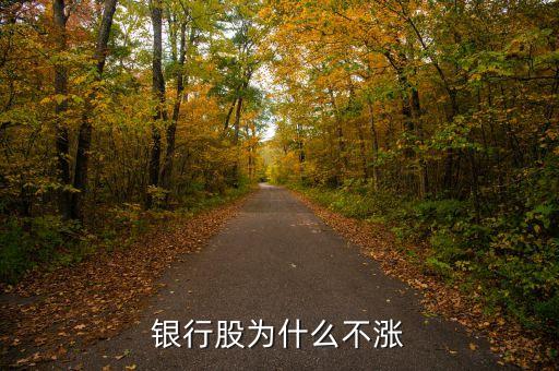 牛市為什么銀行股不漲，我來告訴你銀行股為什么不漲