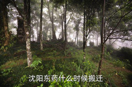 有沈陽(yáng)東北制藥搬遷是什么時(shí)候嗎，沈陽(yáng)東藥什么時(shí)候搬遷