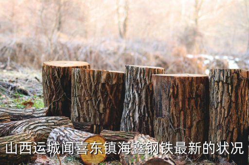 海鑫什么時候破產(chǎn)，山西運城聞喜東鎮(zhèn)海鑫鋼鐵最新的狀況