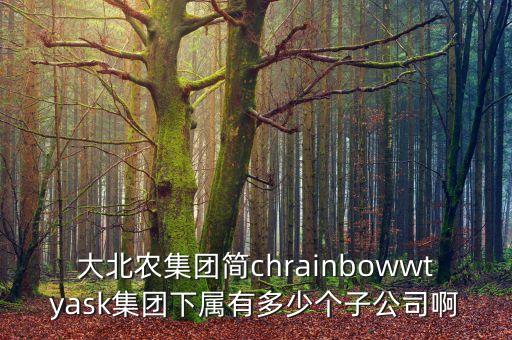 大北農(nóng)集團(tuán)簡chrainbowwtyask集團(tuán)下屬有多少個子公司啊