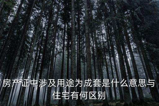 什么是成套項(xiàng)目，什么叫中型成套工程項(xiàng)目