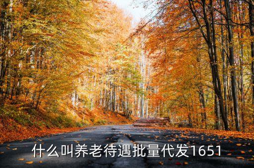 什么叫代發(fā)養(yǎng)老金，養(yǎng)老金代發(fā)機構是指什么