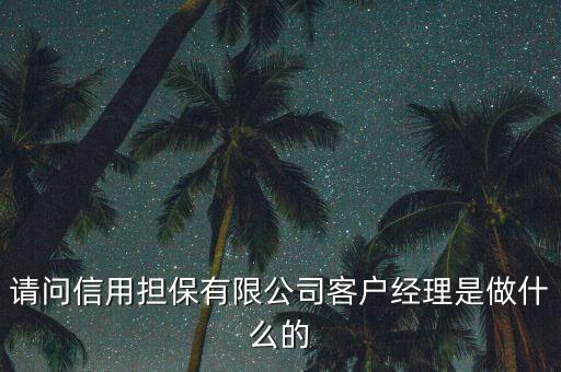 請問信用擔保有限公司客戶經理是做什么的
