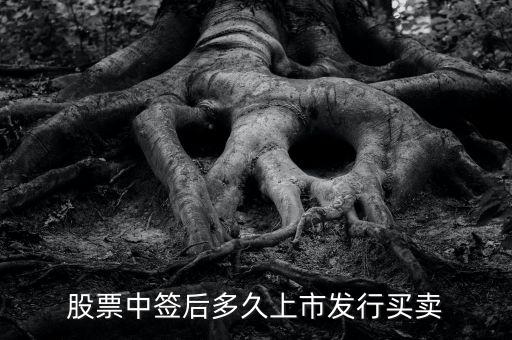 300512什么時(shí)候上市交易，股票中簽后多久上市發(fā)行買(mǎi)賣(mài)