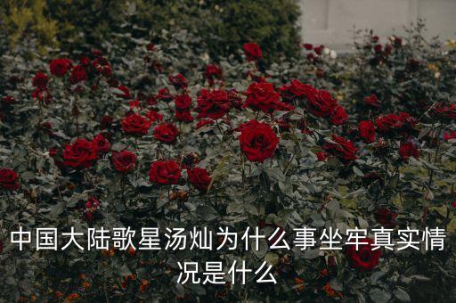 湯燦為什么要當(dāng)情婦，誰(shuí)知道湯燦怎么了