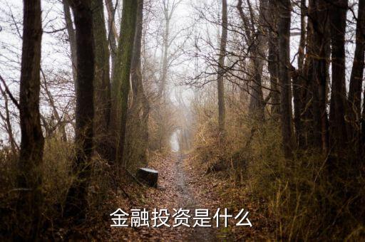 保險公司金融投資是做什么的，保險公司理財公司是干什么的