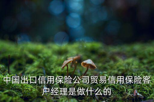 中信?？蛻艚?jīng)理干什么，中國(guó)出口信用保險(xiǎn)公司貿(mào)易信用保險(xiǎn)客戶經(jīng)理是做什么的