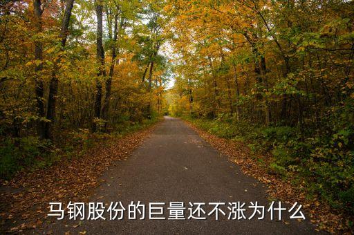 馬鋼集團(tuán)為什么還不倒，馬鋼集團(tuán)為什么沒排在世界500強(qiáng)中