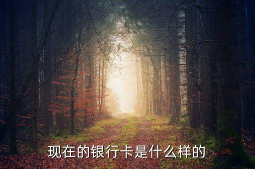 首都銀行卡長(zhǎng)什么樣，銀行卡賬號(hào)長(zhǎng)什么樣