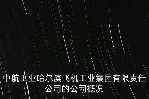 哈飛生產(chǎn)什么飛機(jī)，成飛 陜飛 哈飛 沈飛那個(gè)是中國(guó)最大的飛機(jī)制造企業(yè)