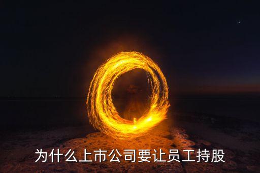 公司強(qiáng)迫員工入股的動(dòng)機(jī)是什么，4個(gè)人的公司要求員工入股是什么目的