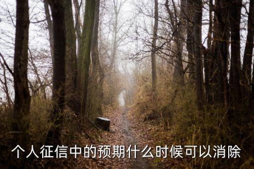 中國(guó)正信什么時(shí)候分紅，個(gè)人征信中的預(yù)期什么時(shí)候可以消除