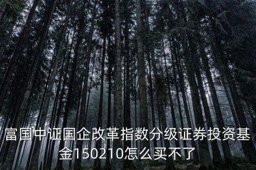 150210買的什么股票，富國(guó)中證國(guó)企改革指數(shù)分級(jí)證券投資基金150210怎么買不了