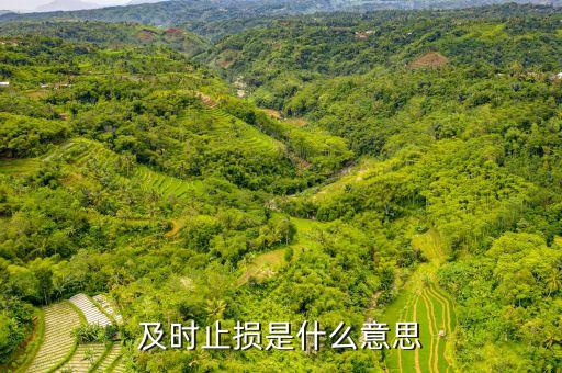 適時止損是什么意思，勿糾結(jié)于沉沒成本 即時止損什么意思