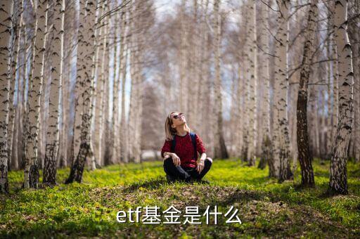 etf是什么類型的基金，ETF是什么