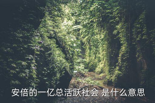一億總活躍社會是什么， 安倍的一億總活躍社會 是什么意思