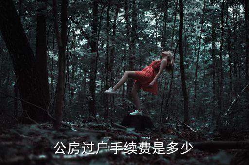 公房使用權(quán)轉(zhuǎn)讓需要交什么錢(qián)，公租房使用權(quán)交易如何收費(fèi)