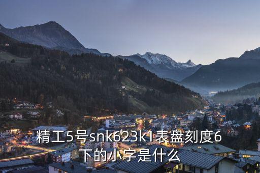 精工表中小表什么，精工手表4個(gè)小表盤(pán)是干甚么的