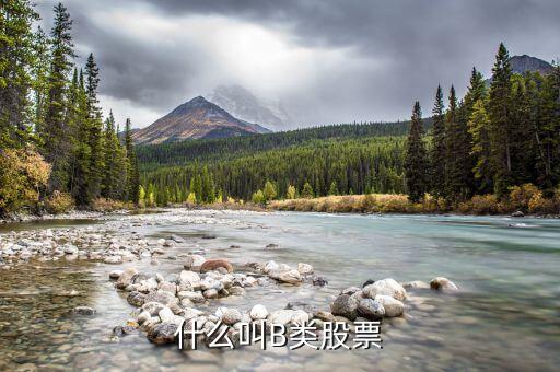 分級股b什么意思，分級基金b和b股一樣嗎