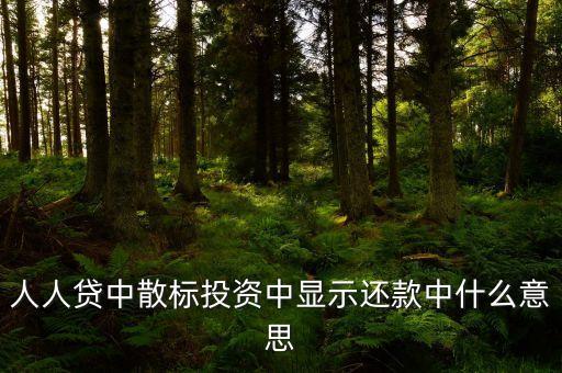 散標是什么意思，散標是什么