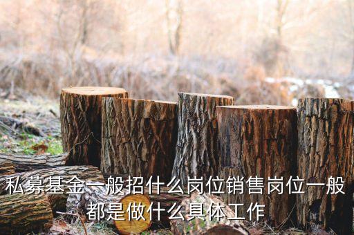 私募公司的市場(chǎng)部做什么，投資公司的市場(chǎng)部職員主要做什么