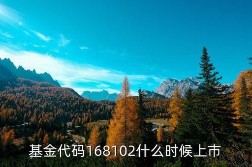 168101基金什么時候上市，基金代碼168102什么時候上巿