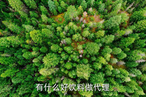 現(xiàn)在有沒(méi)有什么好的飲料找經(jīng)銷商，有什么好飲料做代理