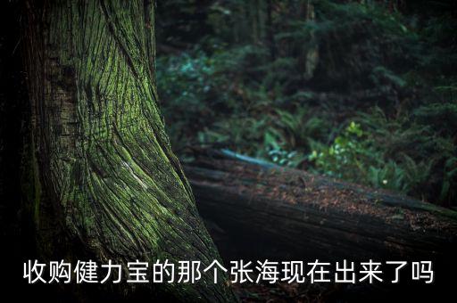 收購健力寶的那個(gè)張?，F(xiàn)在出來了嗎