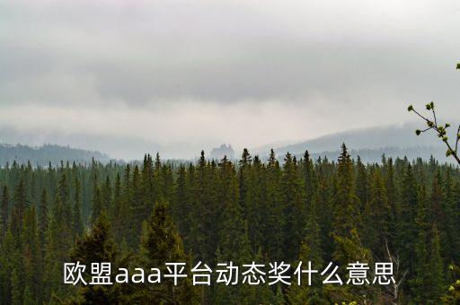 歐盟aaa現(xiàn)在什么情況，歐盟AAA開了多久穩(wěn)定嗎