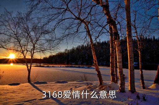 3168愛(ài)情什么意思