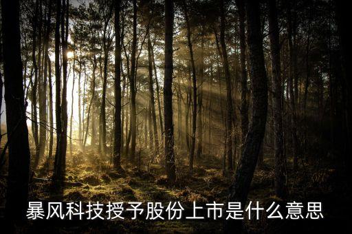 暴風科技授予股份上市是什么意思